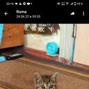 ���������� �������, ���� ����� �����, 20 ���, ������������ ��� ������, ����� � ���������