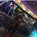 ���������� �����������, ���� ������� Ricer, 32 ����, ������������ 