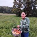 ���������� �����-���������, ���� ������� �����, 38 ���, ������������ ��� ������, ����� � ���������, ���������