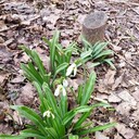 ���������� �����������, ���� ������� Sergey, 48 ���, ������������ ��� ������, ����� � ���������, ���������