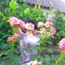  ,   , 35 ,  
