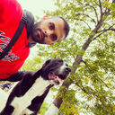 ���������� ���������, ���� ������� ����, 26 ���, ������������ ��� ������, ����� � ���������, c�������� ���������