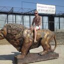 ���������� �����������, ���� ������� �������, 31 ���, ������������ ��� ������, ����� � ���������