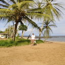  ,   Andru, 36 ,   ,   , c 