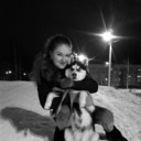 ���������� ������, ���� ������� ������, 36 ���, ������������ ��� ������, ����� � ���������, c�������� ���������