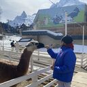 ���������� ������, ���� ������� �������, 35 ���, ������������ ��� ������