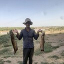 ���������� �����-���������, ���� ������� �����, 37 ���, ������������ ��� ������, ����� � ���������