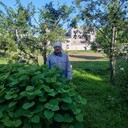 ���������� �����, ���� ������� �����, 69 ���, ������������ ��� c�������� ���������, ���������