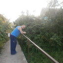 ���������� ��������, ���� ������� ������, 40 ���, ������������ ��� ������, ����� � ���������, c�������� ���������