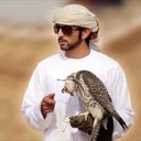 ���������� �������, ���� ������� ����, 38 ���, ������������ ��� ����� � ���������, c�������� ���������