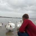 ���������� ���������, ���� ������� ���������, 30 ���, ������������ ��� ������, ����� � ���������, c�������� ���������