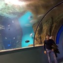 ���������� ���������, ���� ������� ������, 34 ����, ������������ ��� ������, ����� � ���������, c�������� ���������