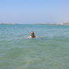  Tel Aviv-Yafo,   IHIILL, 55 ,     , c 