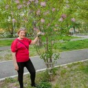  ,   , 70 ,     , c 