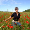 ���������� ������, ���� ������� � ���� �����, 44 ����, ������������ 