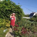   ,   , 58 ,   c 