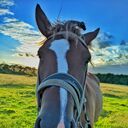 ���������� ����, ���� ����� ���, 22 ����, ������������ ��� ������, ����� � ���������, c�������� ���������, ���������