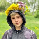  ,   DASTI, 24 ,   ,   , c 