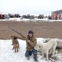 ���������� ������, ���� ������� �����������, 36 ���, ������������ ��� ������, ����� � ���������, c�������� ���������