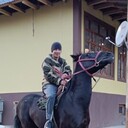  ,   , 39 ,   ,   