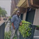 ���������� Goma, ���� ������� ������, 31 ���, ������������ ��� ������, ����� � ���������