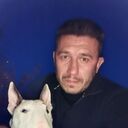 ���������� ��������, ���� ������� ���������, 43 ����, ������������ ��� ������, ����� � ���������, c�������� ���������, ���������