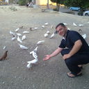  ,   Roma, 44 ,     , c , 