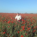  ,   , 61 ,   ,   , c , 