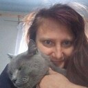 ���������� �����, ���� ������� ����, 40 ���, ������������ ��� ������, ����� � ���������