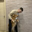 ���������� �������, ���� ����� ������, 24 ����, ������������ 