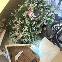  ,   , 31 ,   ,   