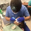 ���������� �������, ���� ������� ����, 27 ���, ������������ ��� ������, ����� � ���������