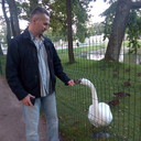  -,   , 55 ,   ,   , c 