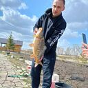 ���������� ���������, ���� ������� ����, 38 ���, ������������ ��� ������, ����� � ���������