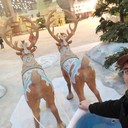 ���������� ������, ���� ������� �������, 39 ���, ������������ ��� ������, ����� � ���������, c�������� ���������, ���������