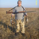 ���������� ����, ���� ������� Tolian, 66 ���, ������������ 