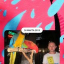 ���������� ������, ���� ������� ���������, 41 ���, ������������ ��� ������, ����� � ���������, c�������� ���������, ���������