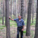 ���������� ���, ���� ������� ����������, 67 ���, ������������ ��� ������, ����� � ���������, c�������� ���������