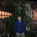 ,   , 41 ,   ,   
