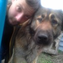 ���������� ������, ���� ������� �������, 40 ���, ������������ ��� ������, ����� � ���������