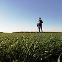 ���������� ������, ���� ������� �����, 35 ���, ������������ ��� ����� � ���������, c�������� ���������, ���������