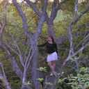 ���������� ����, ���� ������� ����, 36 ���, ������������ ��� ������, ����� � ���������, c�������� ���������