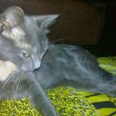 ���������� ������ ��������, ���� ������� ����, 29 ���, ������������ ��� ����� � ���������, c�������� ���������