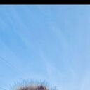 ���������� �������, ���� ������� �����, 40 ���, ������������ ��� ������, ����� � ���������