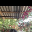 ���������� ������, ���� ������� �����, 40 ���, ������������ ��� ������, ����� � ���������, c�������� ���������