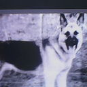  ,   , 55 ,   ,   , c 