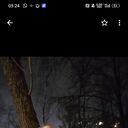 ���������� ������, ���� ������� �����, 55 ���, ������������ 