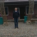 -,   , 41 ,   ,   