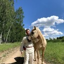 ���������� ������, ���� ������� �����, 46 ���, ������������ ��� c�������� ���������, ���������