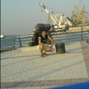  ,   , 53 ,   ,   , c , 
